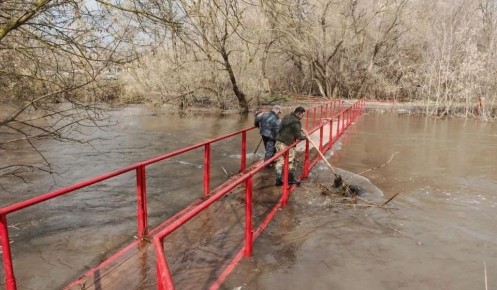 � ������ �������� ���������� ���� �� ���� �������