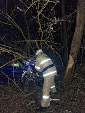 В Курской области 1 апреля «Лада Веста» врезалась в дерево