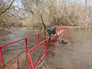 � ������ �������� ����