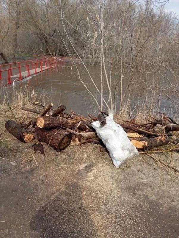 Из-за подъема воды в реке Тускарь и протоке Кривец частично затопило пешеходный мост на пересечении улиц 1-я Стрелецкая и Бочаровская