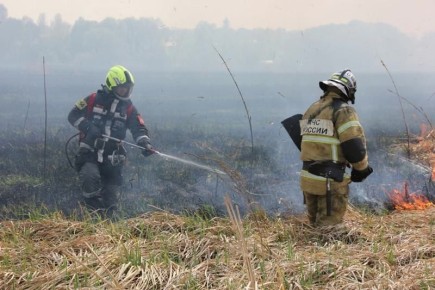 В Курске участились случаи пожаров при сжигании мусора, а также неконтролируемых горений травы