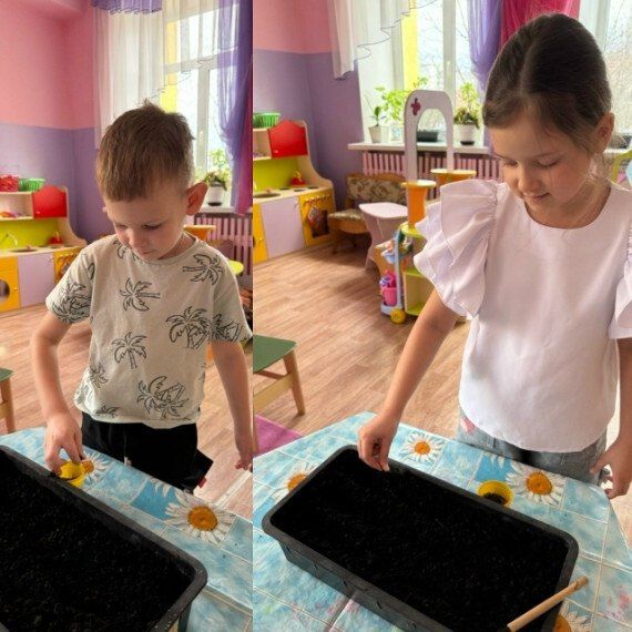С наступлением весны, когда садоводы и огородники традиционно начинают сажать рассаду, ребята из подготовительной группы N 8 детского сада №9 решили присоединиться к этому увлекательному занятию
