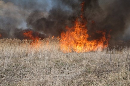 � ������ ���������� ������ ��-�� �������� �����