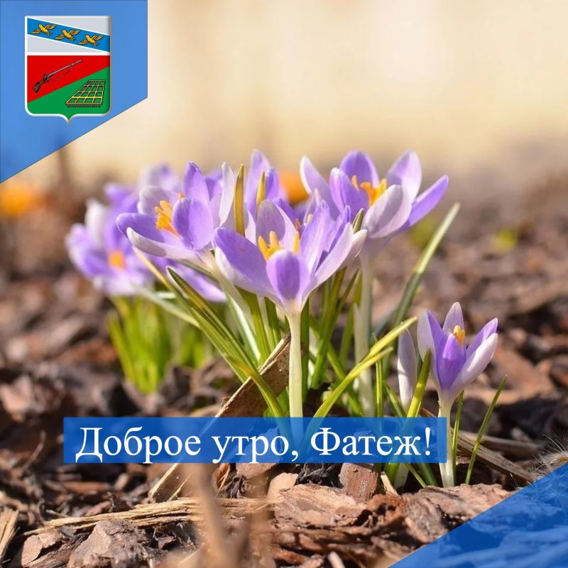 ДОБРОЕ УТРО. Желаем всем жителям Фатежского района удачного четверга!