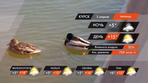 #�����������. ������, 3 ������, � ������ ����� ������� � ������������