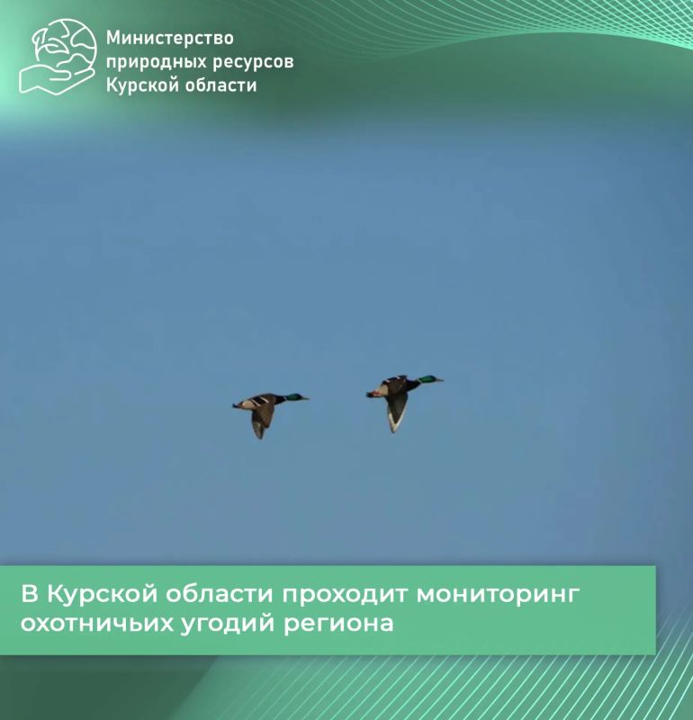 В Курской области проходит мониторинг охотничьих угодий региона