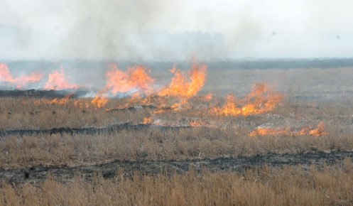 � ������ ���������� ������ ������� ��� �������� ����� � ������