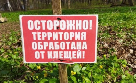 Курские парки начали обрабатывать от клещей