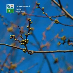 Доброе утро!. Эта пятница будет облачной, днём +16°C, возможен дождь, ночью +8°C