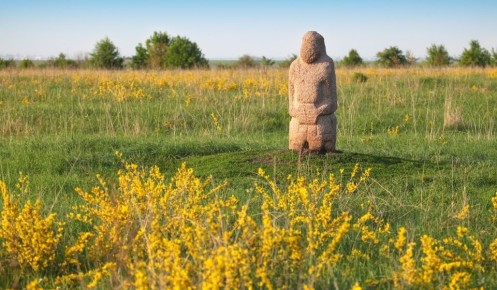 В Курской области в заповеднике имени В.В. Алехина природа оживает после зимы