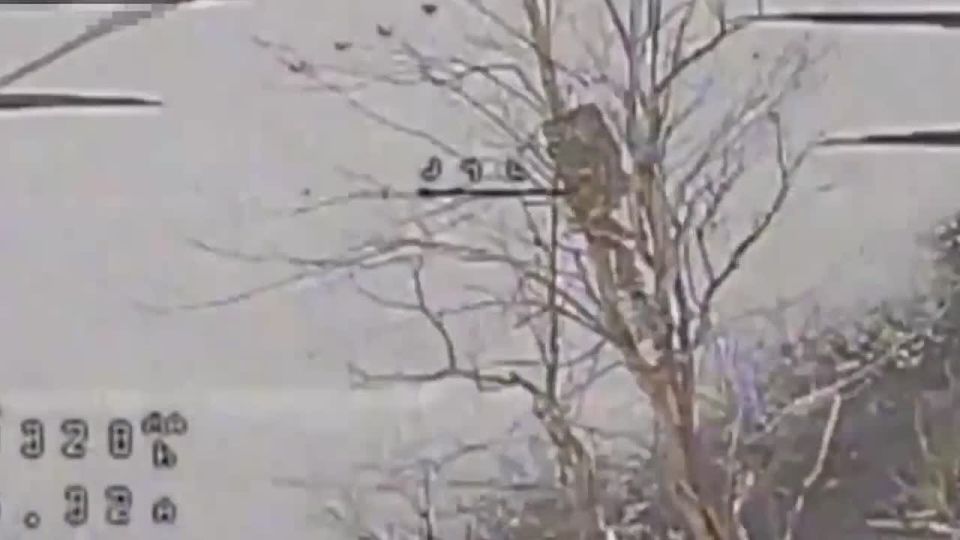 Военная служба - дело чести и доблести! Присоединяйся к СВОим!