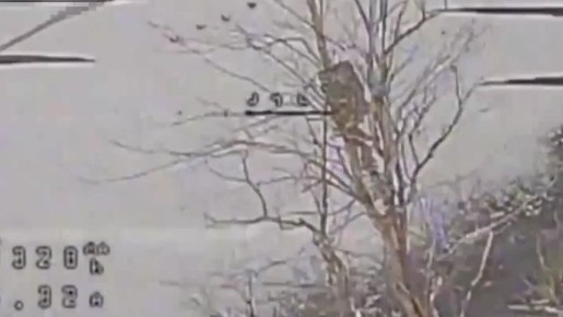 Военная служба - дело чести и доблести! Присоединяйся к СВОим!