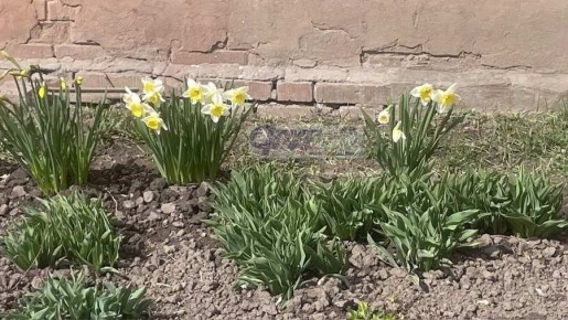 Какая погода на выходных 4-5 апреля ожидается в Курской области