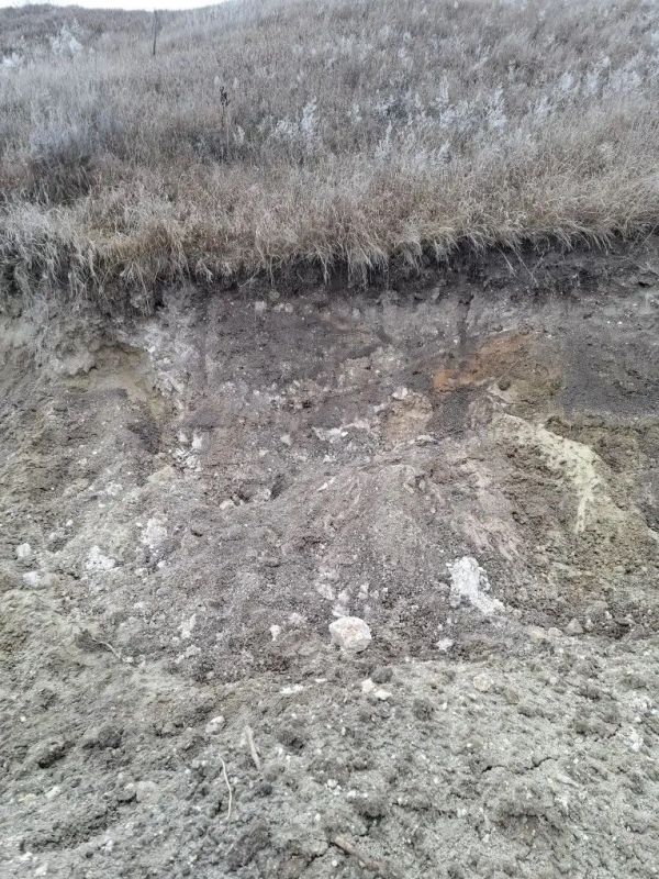 О ситуации на территории Бесединского городища Курского района