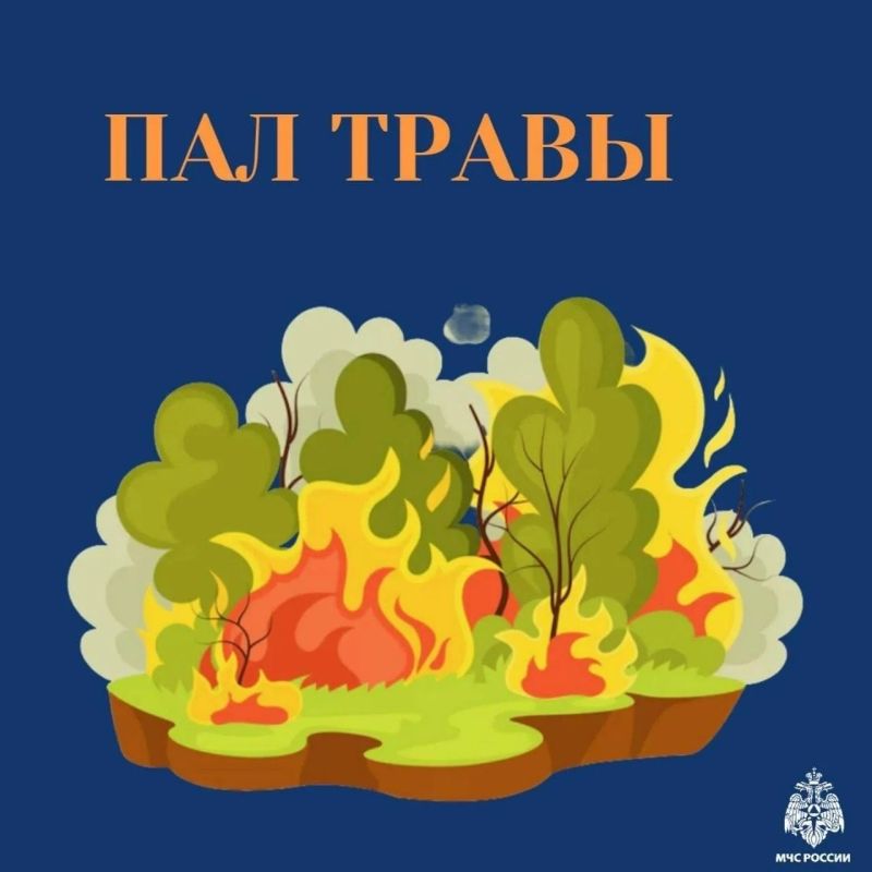 Пал травы запрещен. Соблюдай правила пожарной безопасности, не сжигай сухую траву