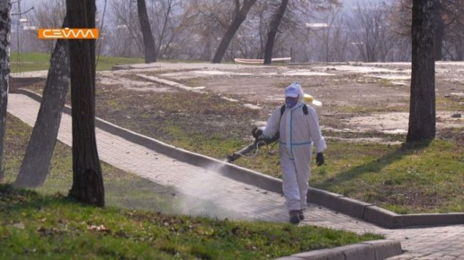 Курские парки начали обрабатывать от клещей