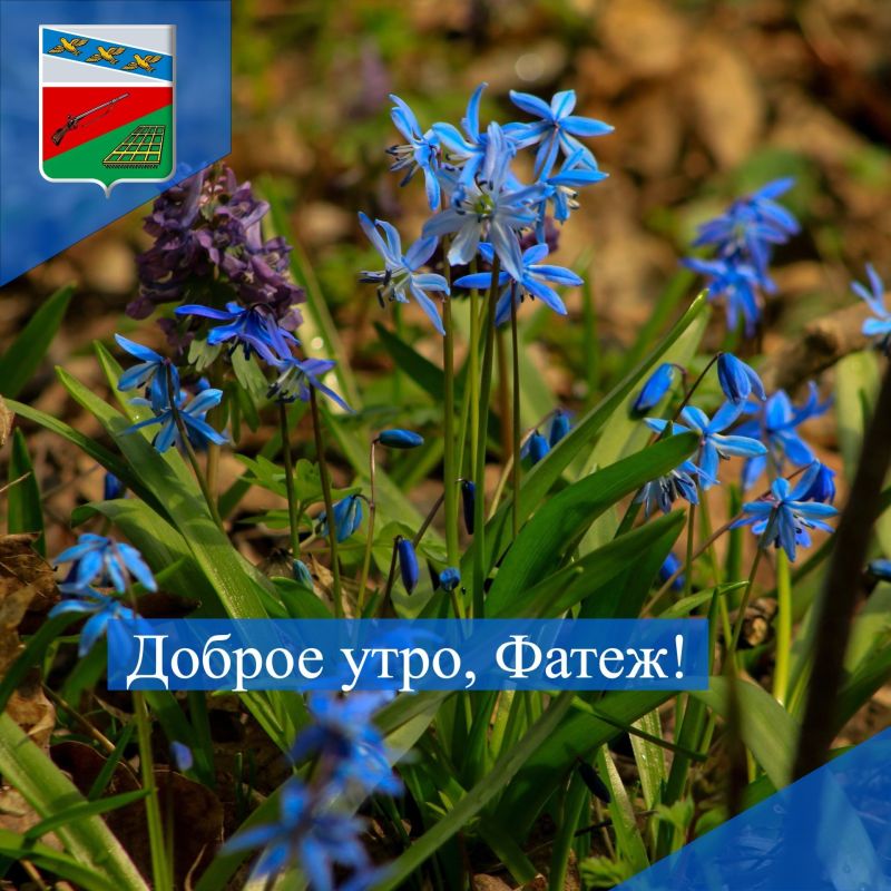 ДОБРОЕ УТРО. Вот и наступила долгожданная пятница, рабочая неделя подходит к концу