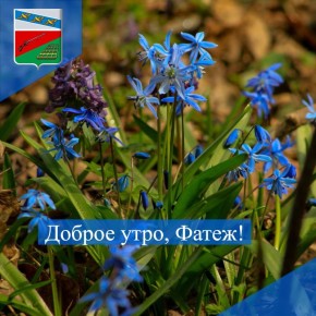 ДОБРОЕ УТРО. Вот и наступила долгожданная пятница, рабочая неделя подходит к концу