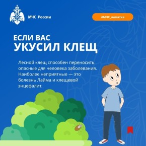 С приходом весны и потеплением люди сталкиваются с такой опасностью, как укусы клещей