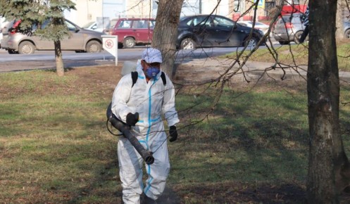 В Курске парки обрабатывают от клещей