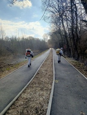 ������� ����� ������ ������������ �� ������