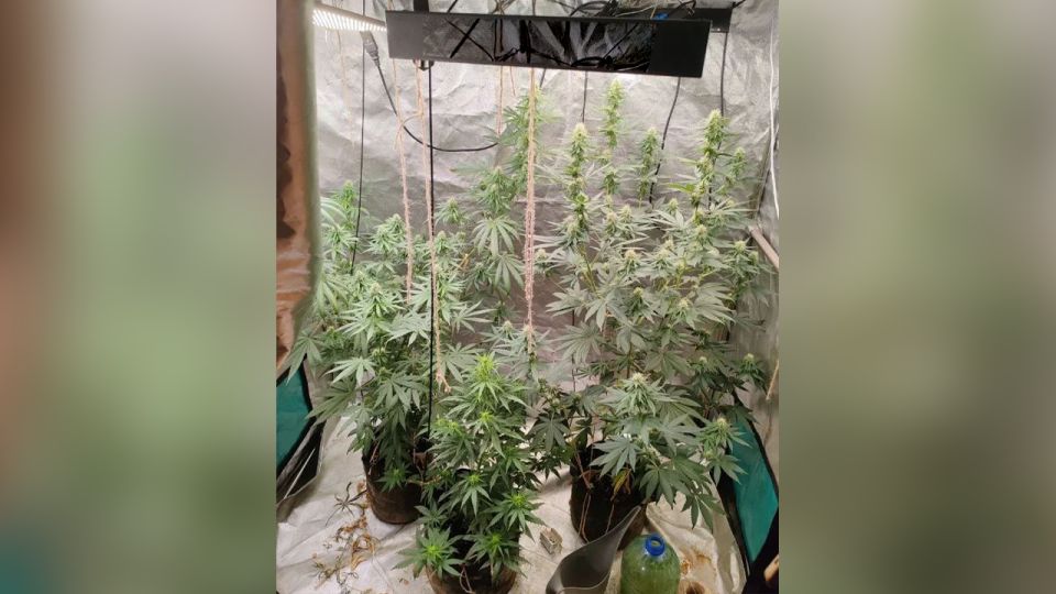 � ������������� ��� ������ � �������� ����������� �������� ����������� ���������� ����������