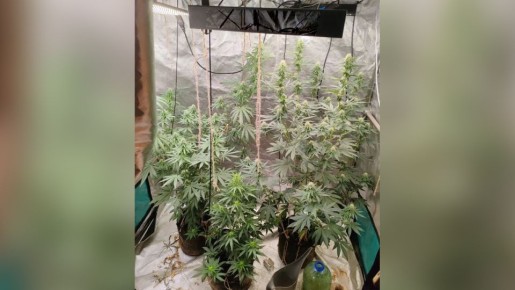 � ������������� ��� ������ � �������� ����������� �������� ����������� ���������� ����������