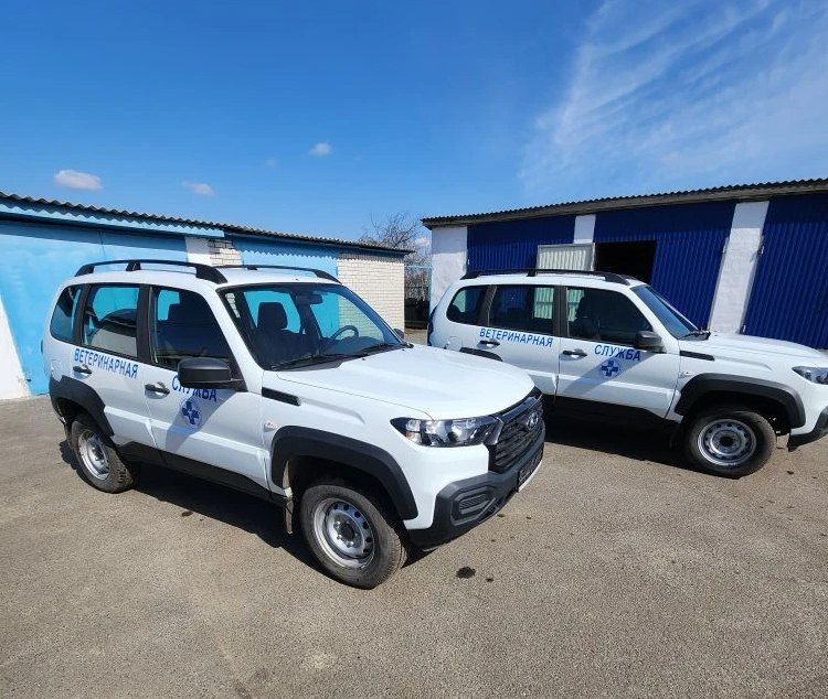 Рассказываем о реализации Долгосрочного плана социальноэкономического развития в нашем регионе