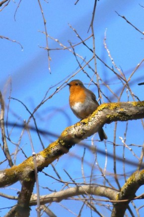 �������� ����� � ����������: � ������ �������� �������