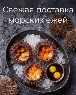 � ��������� ����� � ������ �������� ������� ����!