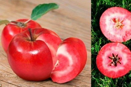 ��������� ������: �� ����������� �� �������� - ���, ��� ���� ����� � ������������ ������