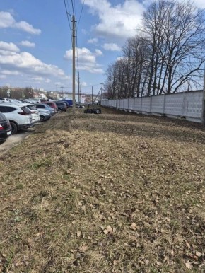 ���������� ���������� ��������� � ���������������, ����������-������������ ���������� � "���� ������ ������" ������� � ������� �������� ����� ��������� ��������