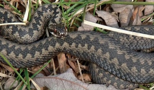 ���������� ������� ������� ������������� � �������� ������ �� ����