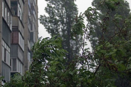 � ������� ������� 5 ������ ��������� ����� � ������� �����