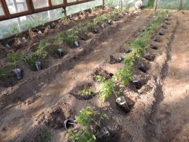 ������� �������� ������� �������, ������� � �����