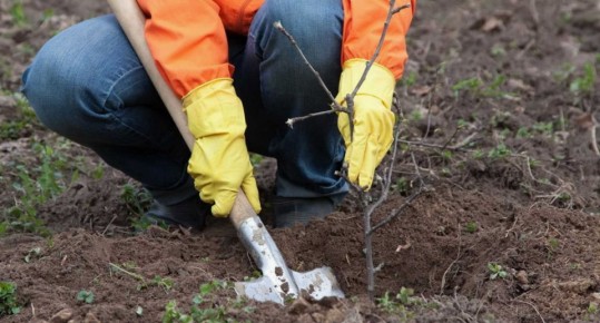 �������� �������� ������: ��� ����� ������� ������� ������ �� ������ �������� ��������