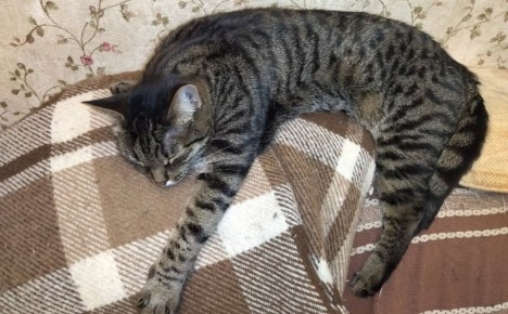 ������ ��� �������� ������ ������: ����� �� ��������� �������?