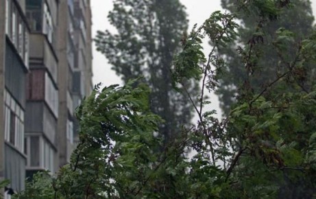 � ������� ������� 5 ������ ��������� ����� � ������� �����