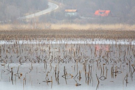 ������� ���������, ����� ���� ����� ���� �� ����� �������