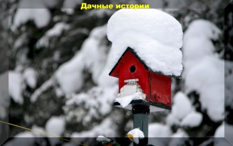 ����� �������� ������: ��� �������� ������ ���������� � ������ ������� ��������