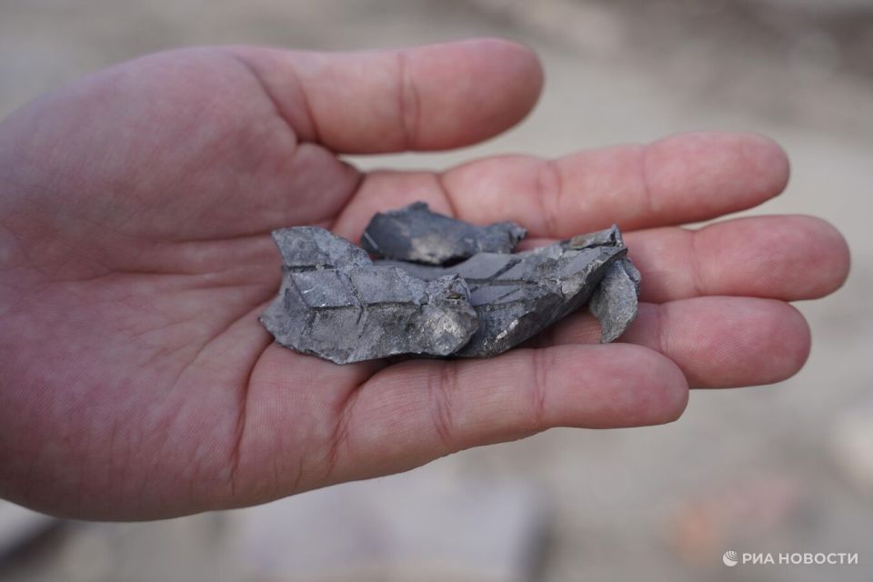 ��� 34 ���� ��������� ���������� �� �������� ����������� �� �����