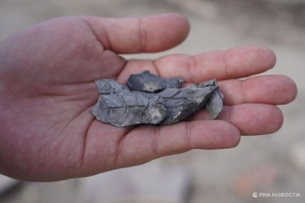 ��� 34 ���� ��������� ���������� �� �������� ����������� �� �����