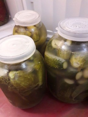 Вкусный рецепт соленых огурчиков, которые хранятся без погреба