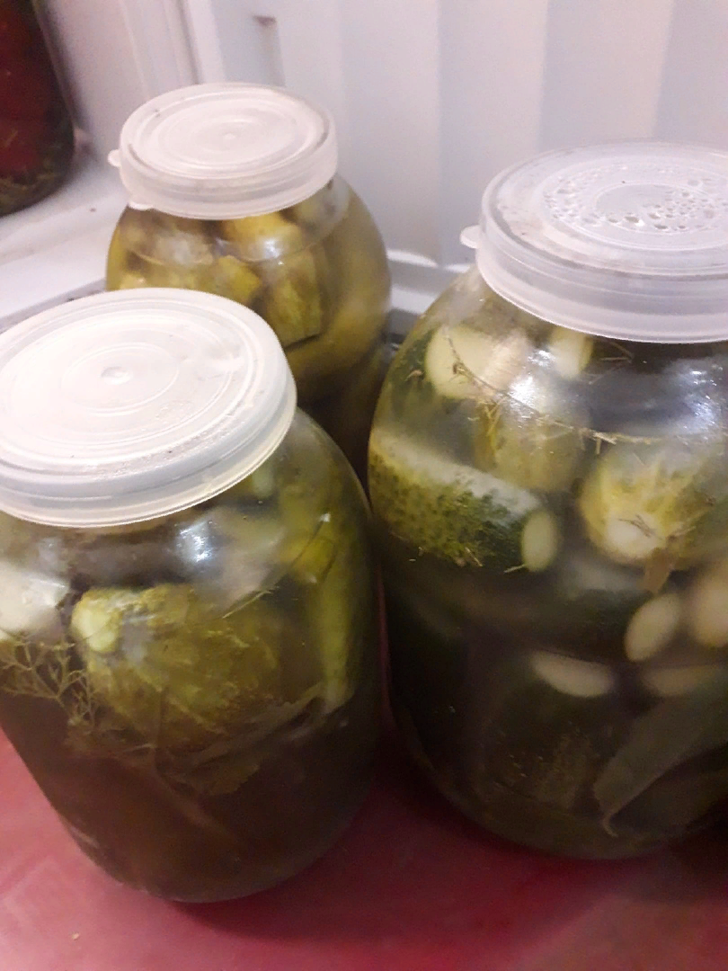 Вкусный рецепт соленых огурчиков, которые хранятся без погреба