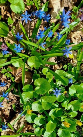 ������ ������� ������ ��������