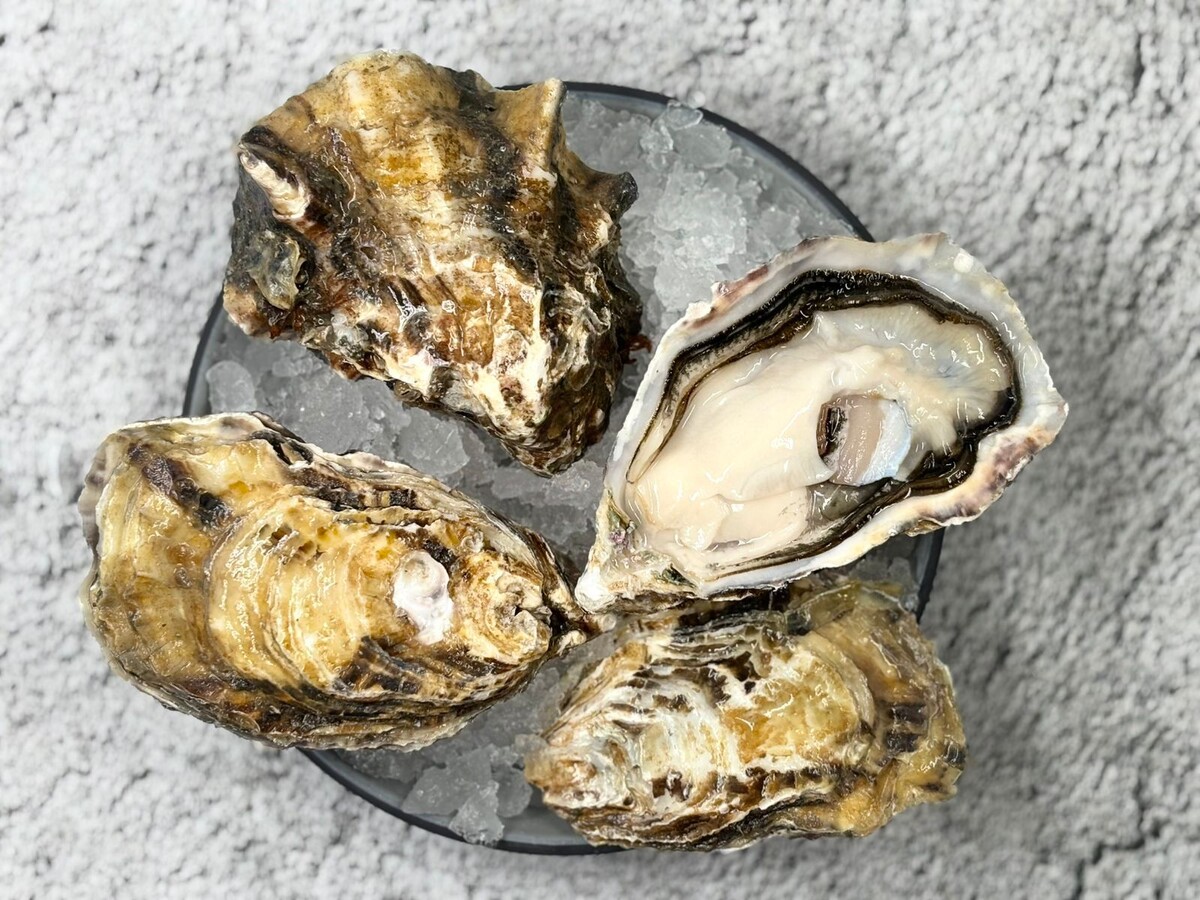 Устрица Моари: морской деликатес, который стоит попробовать