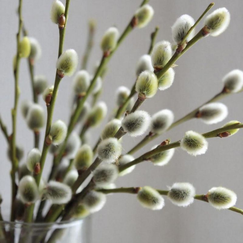 ���������� �������, ����� �������������� ��� ����������� �������, ������ ������ ��������� ������ � ������-������