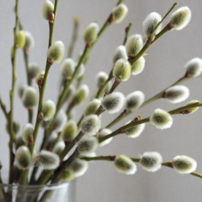 Барический гребень, ранее установившийся над территорией региона, сейчас теснит небольшой циклон с северо-запада