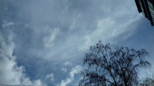 Дожди, местами грозы ожидаются завтра, 6 апреля, в Курской области