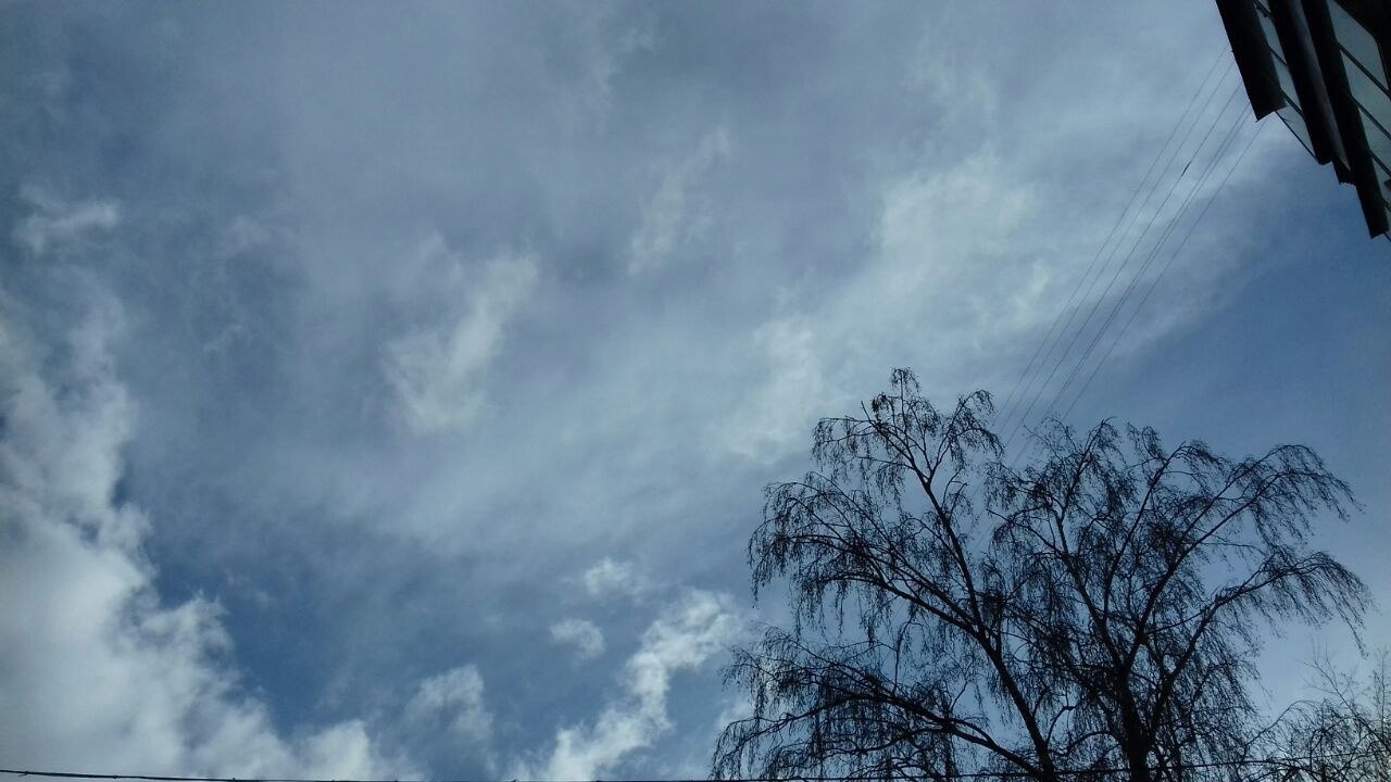 Дожди, местами грозы ожидаются завтра, 6 апреля, в Курской области